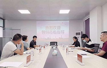 深圳美協親臨亮而彩視察指導工作！
