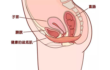 月子會所盆底肌儀器有用嗎？選擇月子會所有什么好處？